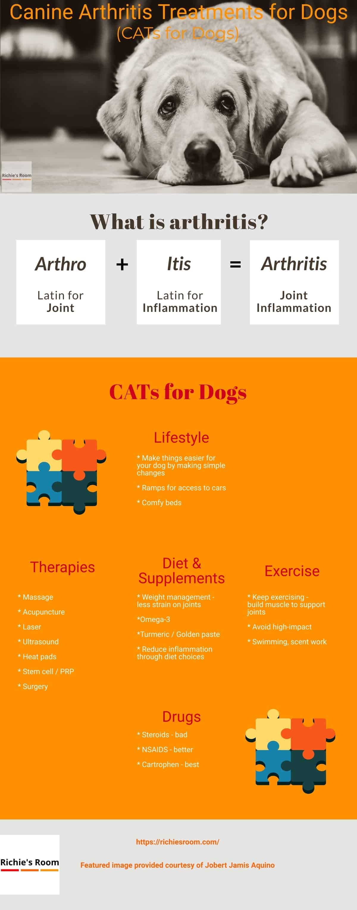 canine arthritis bible - infographic