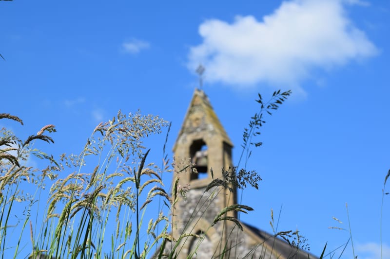 Why do dogs bark - wales - church