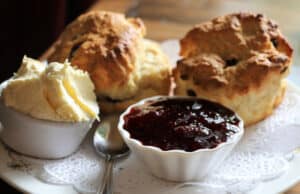 quickly learn 50 us states and capitals - scones