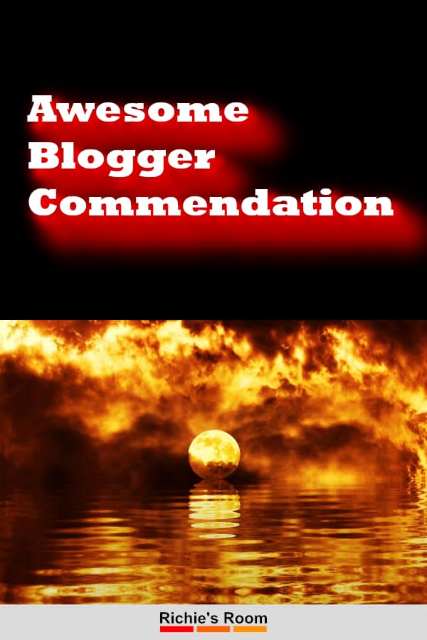 awesome blogger commendation - pin