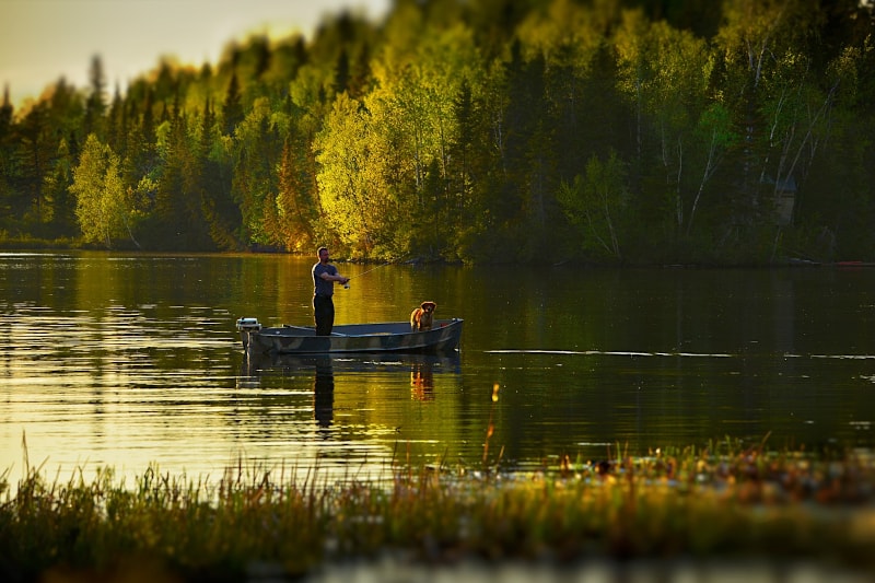 aquaplanet pet buoyancy aid - boat man and dog