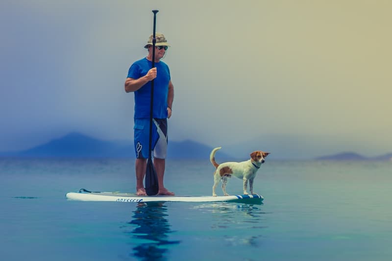 aquaplanet pet buoyancy aid - sup man and dog