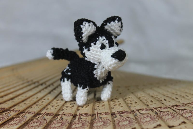 dog trainer interview freya locke - crochet dog